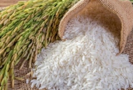 Chia sẽ kinh nghiệm mở đại lý gạo với số vốn nhỏ 