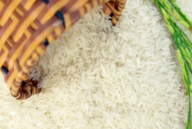 Cửa hàng gạo quận 4 đáng tin cậy, giá tốt