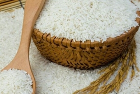 Đại lý gạo Long An - Thành Tâm cung cấp gạo chất lượng cao