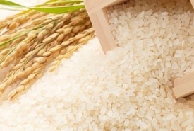 Đại lý gạo quận 3 - Uy tín giá rẻ cho mọi nhà 
