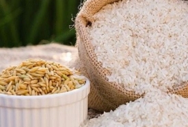 Giá gạo sỉ và lẻ tại Cửa hàng gạo tại quận 1 - Thành Tâm