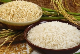 Gợi ý đại lý gạo quận 6 giá tốt uy tín 