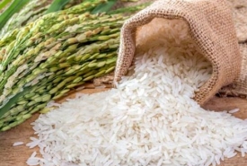 Mua gạo giá rẻ tại đại lý gạo TPHCM