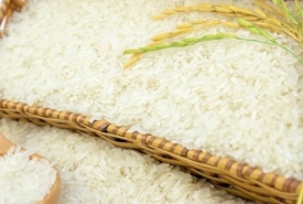 Mua gạo giá sỉ chất lượng cao ở đâu tại TPHCM ?