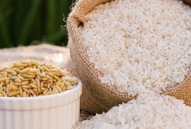 Mua gạo ngon tại Bình Dương - Đại lý gạo Bình Dương Thành Tâm