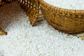 Vựa gạo quận 8 cung cấp gạo chất lượng, giá rẻ - Thành Tâm
