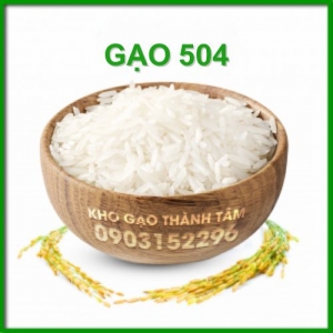 Gạo 504 