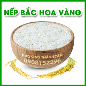 Nếp Bắc