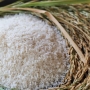 Địa chỉ bán gạo Củ Chi ngon nhất hiện nay