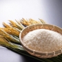 Vựa Gạo Tân Phú cung cấp gạo sạch, giá tốt - Thành Tâm